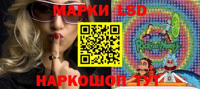 прущие грибы Сланцы