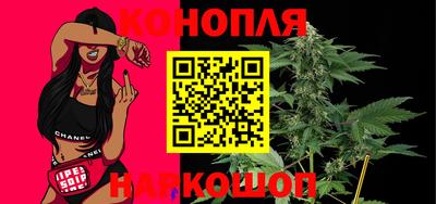 прущие грибы Сланцы