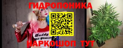 прущие грибы Сланцы