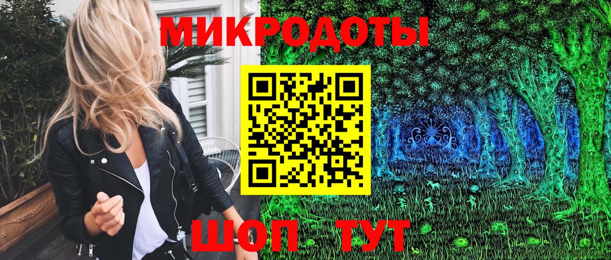 Псилоцибиновые грибы Cubensis Северск